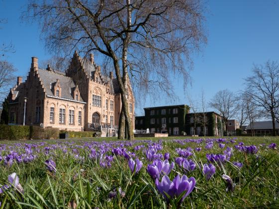 Kasteel Dominiek Savio